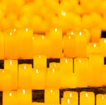 Candlelight: Vivaldiho Čtvero ročních dob
